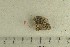  ( - O-F-146108)  @11 [ ] by-nc-sa (2022) Unspecified University of Oslo, Natural History Museum