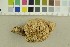  ( - O-F-159333)  @11 [ ] CreativeCommons - Attribution Non-Commercial Share-Alike (2018) Unspecified University of Oslo, Natural History Museum