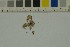  ( - O-F-162234)  @11 [ ] by-nc-sa (2023) Unspecified University of Oslo, Natural History Museum