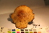  ( - TROM_F_17327)  @11 [ ] CreativeCommons - Attribution Non-Commercial Share-Alike (2017) Unspecified Tromsø University Museum