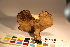  ( - TROM_F_17327)  @11 [ ] CreativeCommons - Attribution Non-Commercial Share-Alike (2017) Unspecified Tromsø University Museum