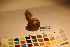  ( - TROM_F_17336)  @11 [ ] CreativeCommons - Attribution Non-Commercial Share-Alike (2017) Unspecified Tromsø University Museum