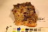  ( - TROM_F_17440)  @11 [ ] CreativeCommons - Attribution Non-Commercial Share-Alike (2017) Unspecified Tromsø University Museum