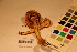  ( - TROM_F_17446)  @11 [ ] CreativeCommons - Attribution Non-Commercial Share-Alike (2017) Unspecified Tromsø University Museum