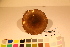  ( - TROM_F_17456)  @11 [ ] CreativeCommons - Attribution Non-Commercial Share-Alike (2017) Unspecified Tromsø University Museum