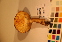  ( - TROM_F_17456)  @11 [ ] CreativeCommons - Attribution Non-Commercial Share-Alike (2017) Unspecified Tromsø University Museum