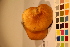  ( - TROM_F_17458)  @11 [ ] CreativeCommons - Attribution Non-Commercial Share-Alike (2017) Unspecified Tromsø University Museum