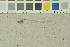  ( - O-F-203776)  @11 [ ] by-nc-sa (2016) Unspecified University of Oslo, Natural History Museum