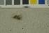  ( - O-F-203952)  @11 [ ] by-nc-sa (2023) Unspecified University of Oslo, Natural History Museum