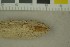  ( - O-F-203980)  @11 [ ] by-nc-sa (2023) Unspecified University of Oslo, Natural History Museum
