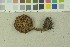  ( - O-F-204045)  @11 [ ] by-nc-sa (2023) Unspecified University of Oslo, Natural History Museum