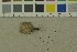  ( - O-F-204214)  @11 [ ] by-nc-sa (2023) Unspecified University of Oslo, Natural History Museum
