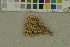  ( - O-F-204301)  @11 [ ] by-nc-sa (2023) Unspecified University of Oslo, Natural History Museum