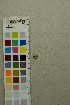  ( - O-F-204387)  @11 [ ] by-nc-sa (2025) Unspecified University of Oslo, Natural History Museum
