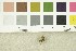  ( - O-F-21615)  @11 [ ] CreativeCommons - Attribution Non-Commercial Share-Alike (2017) Unspecified University of Oslo, Natural History Museum