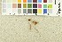  ( - O-F-242704)  @11 [ ] CreativeCommons - Attribution Non-Commercial Share-Alike (2017) Unspecified University of Oslo, Natural History Museum