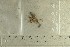  ( - O-F-243964)  @11 [ ] by-nc-sa (2021) Unspecified University of Oslo, Natural History Museum