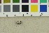  ( - O-F-245460)  @11 [ ] CreativeCommons - Attribution Non-Commercial Share-Alike (2019) Unspecified University of Oslo, Natural History Museum