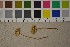  ( - O-F-247521)  @11 [ ] CreativeCommons - Attribution Non-Commercial Share-Alike (2016) Unspecified University of Oslo, Natural History Museum