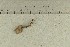  ( - O-F-252221)  @11 [ ] by-nc-sa (2021) Unspecified University of Oslo, Natural History Museum