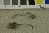  ( - O-F-253861)  @11 [ ] CreativeCommons - Attribution Non-Commercial Share-Alike (2017) Unspecified University of Oslo, Natural History Museum