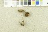  ( - O-F-253953)  @11 [ ] CreativeCommons - Attribution Non-Commercial Share-Alike (2017) Unspecified University of Oslo, Natural History Museum