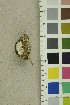  ( - O-F-254210)  @11 [ ] CreativeCommons - Attribution Non-Commercial Share-Alike (2018) Unspecified University of Oslo, Natural History Museum