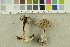  ( - O-F-254470)  @11 [ ] CreativeCommons - Attribution Non-Commercial Share-Alike (2018) Unspecified University of Oslo, Natural History Museum