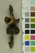  (Cortinarius olivaceofuscus - O-F-255664)  @11 [ ] CreativeCommons - Attribution Non-Commercial Share-Alike (2019) Unspecified University of Oslo, Natural History Museum