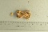  ( - O-F-257720)  @11 [ ] by-nc-sa (2021) Unspecified University of Oslo, Natural History Museum