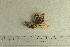  ( - O-F-258043)  @11 [ ] by-nc-sa (2021) Unspecified University of Oslo, Natural History Museum