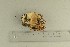  ( - O-F-258144)  @11 [ ] by-nc-sa (2021) Unspecified University of Oslo, Natural History Museum