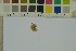  ( - O-F-258161)  @11 [ ] by-nc-sa (2023) Unspecified University of Oslo, Natural History Museum