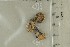  ( - O-F-284533)  @11 [ ] by-nc-sa (2021) Unspecified University of Oslo, Natural History Museum