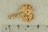  ( - O-F-291196)  @11 [ ] by-nc-sa (2021) Unspecified University of Oslo, Natural History Museum