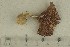  ( - O-F-291962)  @11 [ ] by-nc-sa (2021) Unspecified University of Oslo, Natural History Museum