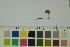  (Mycena rubromarginata - O-F-297041)  @11 [ ] by-nc-sa (2023) Unspecified University of Oslo, Natural History Museum