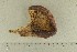  ( - O-F-300749)  @11 [ ] by-nc-sa (2021) Unspecified University of Oslo, Natural History Museum