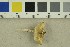  ( - O-F-301363)  @11 [ ] CreativeCommons - Attribution Non-Commercial Share-Alike (2018) Unspecified University of Oslo, Natural History Museum