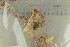  ( - O-F-301810)  @11 [ ] by-nc-sa (2021) Unspecified University of Oslo, Natural History Museum