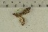  ( - O-F-301853)  @11 [ ] by-nc-sa (2021) Unspecified University of Oslo, Natural History Museum