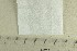 ( - O-F-303421)  @11 [ ] by-nc-sa (2022) Unspecified University of Oslo, Natural History Museum