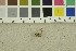  ( - O-F-305004)  @11 [ ] CreativeCommons - Attribution Non-Commercial Share-Alike (2017) Unspecified University of Oslo, Natural History Museum