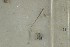  ( - O-F-307866)  @11 [ ] by-nc-sa (2021) Unspecified University of Oslo, Natural History Museum