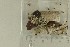  ( - O-F-308082)  @11 [ ] by-nc-sa (2021) Unspecified University of Oslo, Natural History Museum