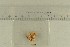  ( - O-F-308084)  @11 [ ] by-nc-sa (2021) Unspecified University of Oslo, Natural History Museum