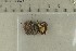  ( - O-F-309311)  @11 [ ] by-nc-sa (2021) Unspecified University of Oslo, Natural History Museum