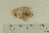  ( - O-F-360196)  @11 [ ] by-nc-sa (2021) Unspecified University of Oslo, Natural History Museum