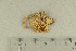  ( - O-F-360196)  @11 [ ] by-nc-sa (2021) Unspecified University of Oslo, Natural History Museum