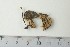  ( - TROM-F-610313)  @11 [ ] by-nc-sa (2020) Unspecified University of Oslo, Natural History Museum